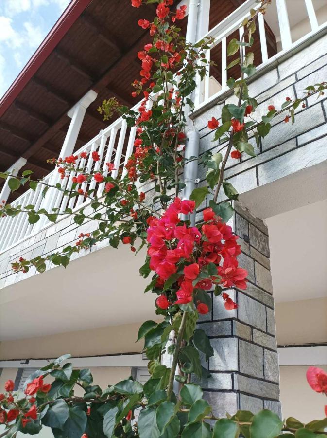 Bella Terra Nature Living Asproválta Exteriér fotografie